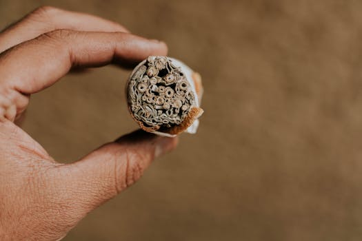 Začněte žít zdravěji: 10 jednoduchých kroků pro každého!